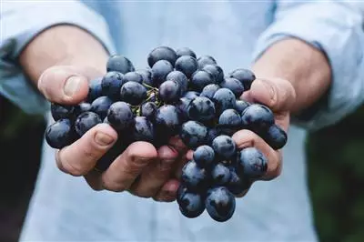 Certificazione innovativa per vini Doc e Docg
