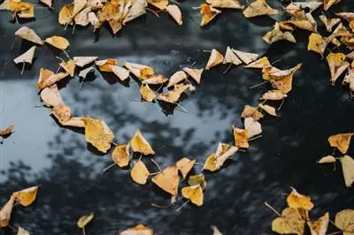 FAI: i 10 Luoghi del cuore 2019