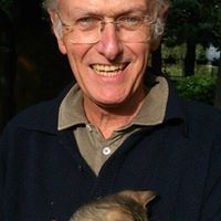 Niccolò d'Aquino