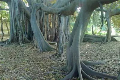 Italia giardino del mondo