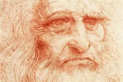 Leonardo enologo e viticoltore