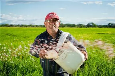 Ricehouse: una nuova edilizia dagli scarti del riso