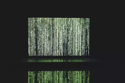 Comprendere la natura attraverso modelli matematici