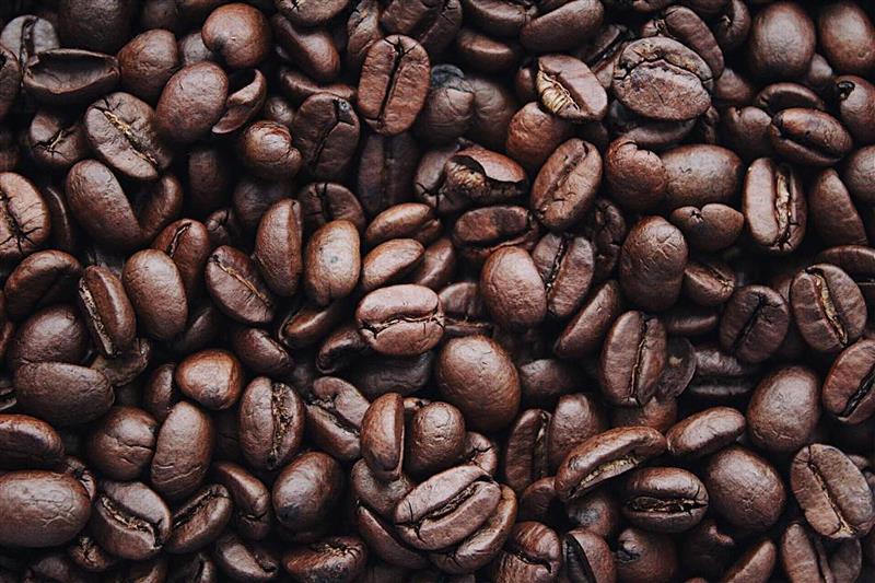 l viaggio del caffè all’Accademia del Caffè Espresso: Coffee Migrant Migrant Coffee